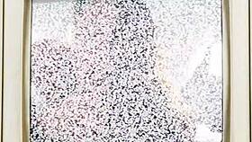 solana's pov adventure in the story