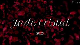 Skinny brunette slut shows hot ass in lingerie and fishnets.