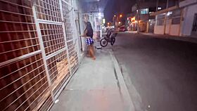 In Florida, busty Italian stepdaughters play erotic games with whores and lesbians, seducing their horny stepfather.