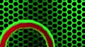 I Blow Makayla Cox Huge Tits