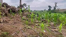 We headed to the farm for some fucking part 2