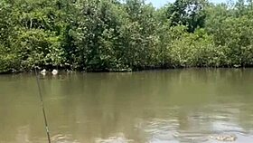 fishing in short shorts in the usa with exhibitionist flashing.