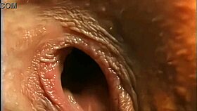 Christine Gaping Anal Asshole Quest