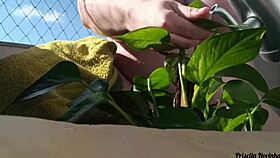 Watering Plants Naked On Balcony, Big Natural Tits Exposed For Viewers!