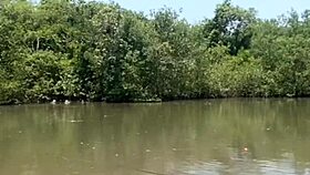 fishing in short shorts in the usa with exhibitionist flashing.