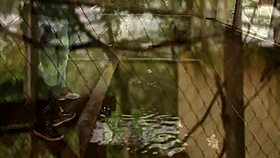 I met a guy in park, his huge cock filled my ass