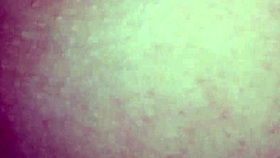 I got roughly fucked by my bull in missionary position