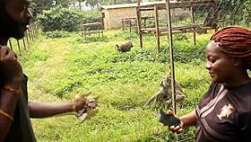 I met a guy in park, his huge cock filled my ass