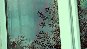 Public nudity driver saw naked milf in stockings without panties washing apartment window