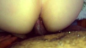 I love watching roberto and melissa with paty bumbum