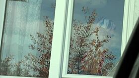 Public nudity driver saw naked milf in stockings without panties washing apartment window