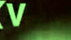 Taking the wife for a public outdoor show