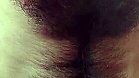 the latina amateur masturbates her monster cock hard and strong