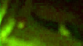 White Cock Rams Big Ebony Ass Deepthroat!