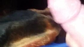 jerking off to a teen 18+ big cumshot 😏