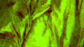 Big dick Chris absolutely destroys that tight ebony pussy in intense doggystyle pounding.