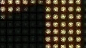 Bride GETS FUCKED and gets a BIG COCK in her mouth!