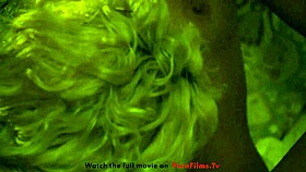 Seduce that pussy now!