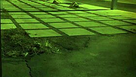 Slave Girl HD Banged in BDSM Anal Gangbang!