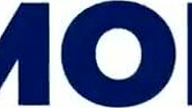 British Teen 18+ Sucks Cock in Polo Shirt and Lingerie