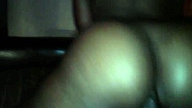 my horny wife ride reverse cowgirl