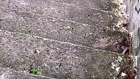 patricinha buceta rosa sobe morro louca pra dar bucetinha