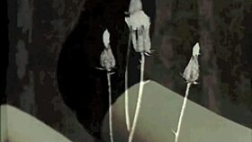 Vintage pregnant beauty lesbian diaries