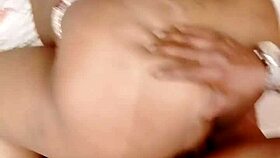 what's in sundaydogood614's update 241 on jun 13 2024?