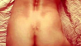 wife gives stranger access to her holes