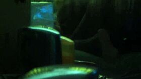 bbw and skinny amateurs fat