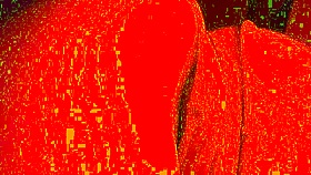 Hey, I'm face down fucking this transman's pussy in a close-up view