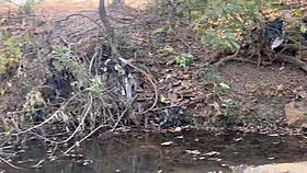 Outside encounter with this shy village girl