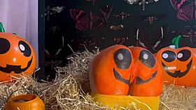 Teen Gets Double Creampie In Pumpkin Patch During Horny Doggystyle Fuck