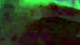 Gmilf passionately sucking balls with intense licking