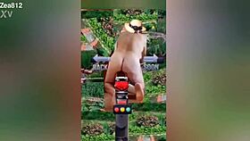 Zea812 Update 225 From July 08 2025