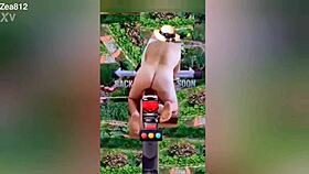 Zea812 Update 225 From July 08 2025