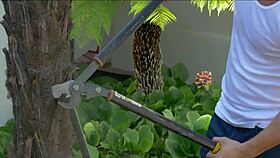 i'm cute alexa nova, fulfilling my fantasy with a big cock pounding my tight pussy passionately