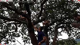 Enfiei a piroca na loira e na morena em cima da árvore no meio da rua