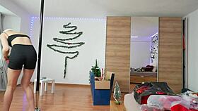 Christmas Decoration And Pole Dancing Party