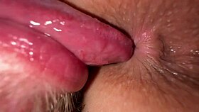 girlfriend gets pussy ground hard by small cock in close up