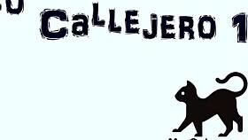 Street cat wandering around the neighborhood