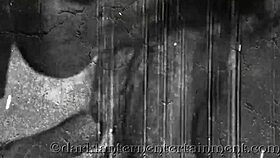 Dark lantern entertainment presents a classic vintage tale of secret life