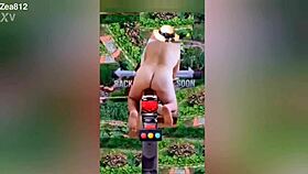 Zea812 Update 225 From July 08 2025