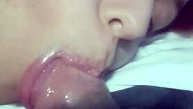 Ele gozou, continuei mamando pau gozado