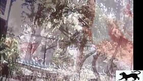 Street cat wandering around the neighborhood