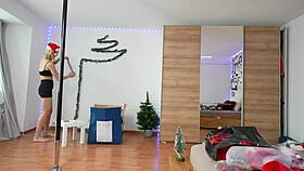 Christmas Decoration And Pole Dancing Party