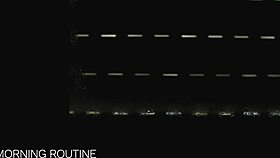 Morning Routine: Closeup Pussy Masturbation Loud Moans 😩