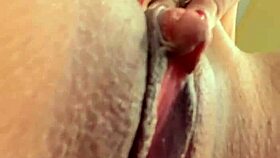 ela gritou dizendo meu nome rosa vermelha