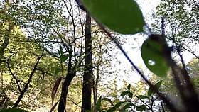 Update 11 from clitlicker662 featuring image 1170 on october 11 2024