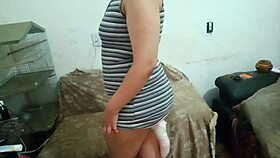 Naughty kitten touches pussy with plug